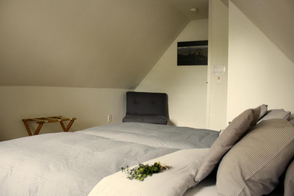 B&B De Kastanjeboom Jabbeke  Rom bilde